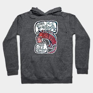 Recipe for Disaster (Armadillo) Hoodie